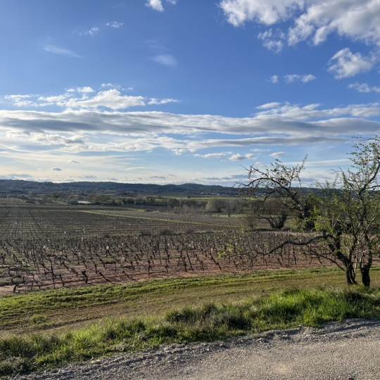 Annonces SUD NIMES : Terrain | LA ROUVIERE (30190) | m2 | 168 000 € 