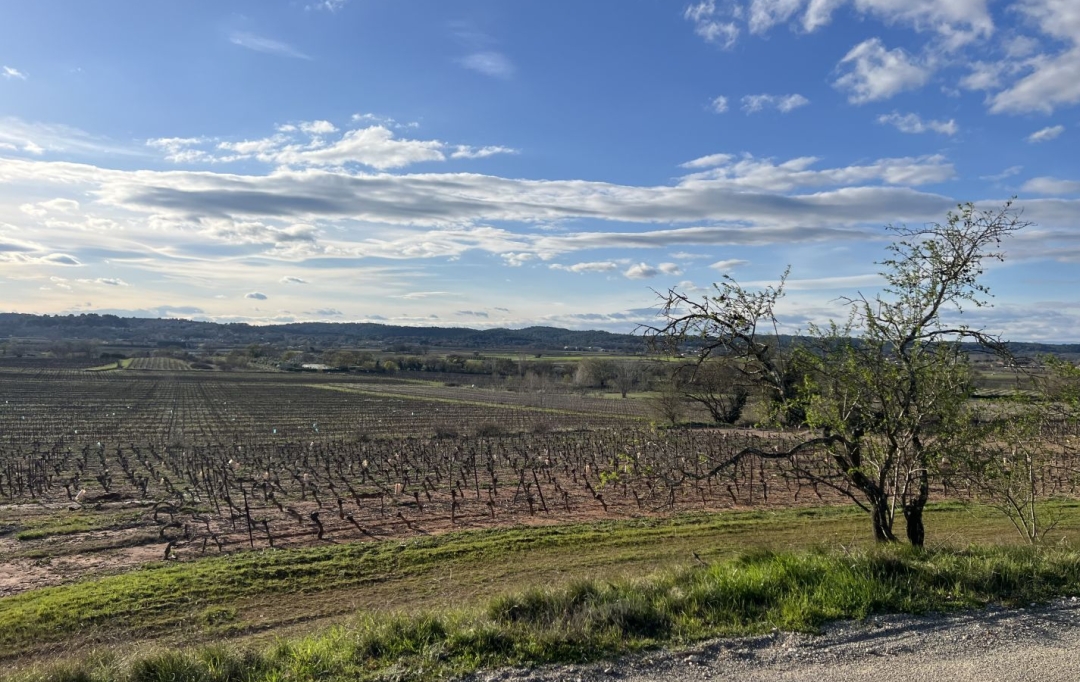 Annonces SUD NIMES : Terrain | LA ROUVIERE (30190) | 0 m2 | 154 000 &euro; 